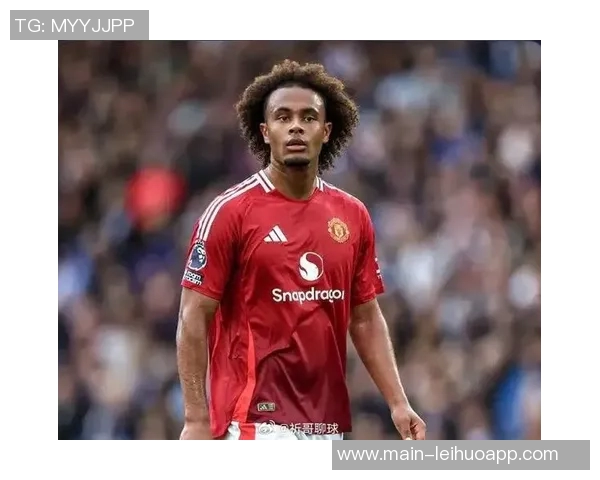 罗马加速引进齐尔克泽曼联标价3500万欧元引关注